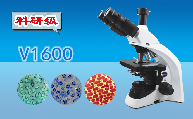 顯微鏡的工作原理以及高倍顯微鏡的使用方法是什么呢？