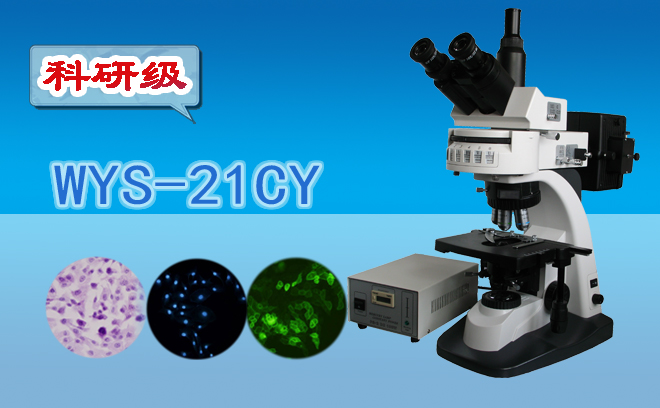 熒光顯微鏡技術(shù)包括哪幾種？